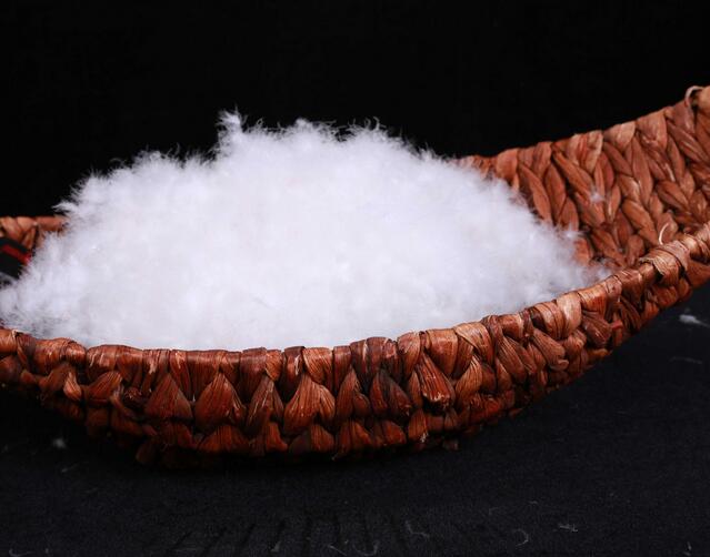 鵝絨和鴨絨羽絨服哪個(gè)更好？